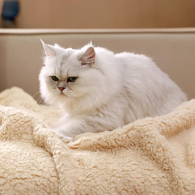 6 Best Cat Blankets of 2023 Reviewed