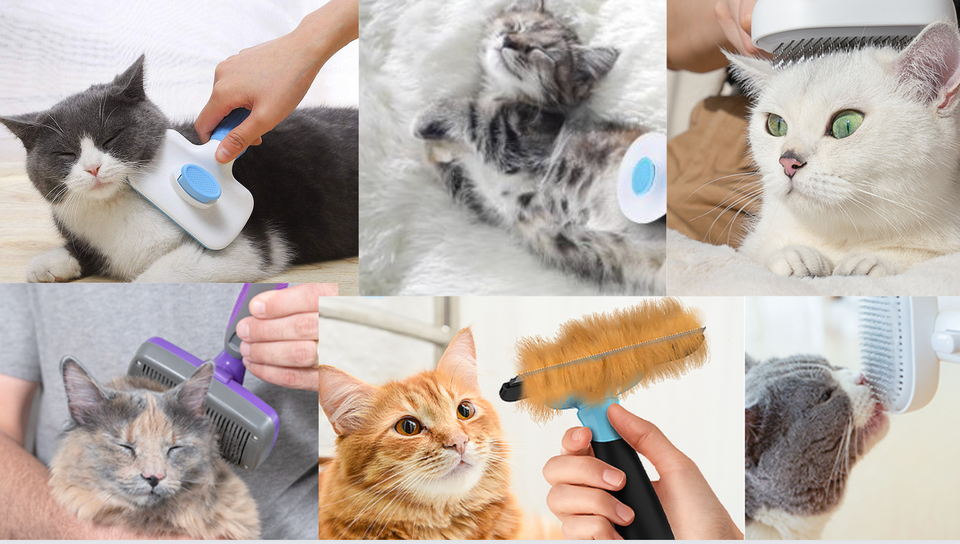 Best 2023 Cat Brushes: Top 11 Picks