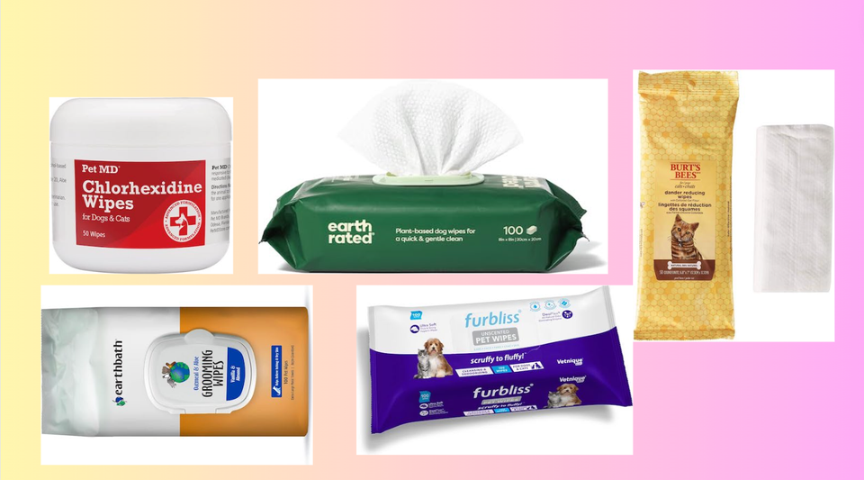 The 6 Best Cat Wipes to Help a Kitty Clean Up