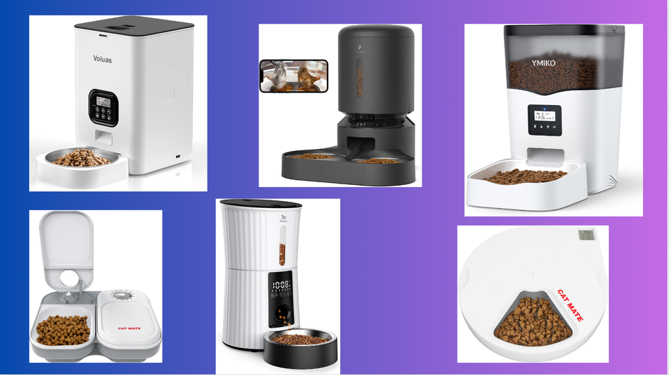 Comparing Top Brands: An In-Depth Review of Automatic Cat Food Dispensers